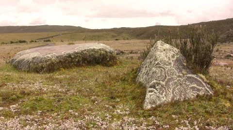 Crustose lichen crowing on boulder on paramo near Cotopaxi Volcano, Ecuador Vídeo Stock 297316