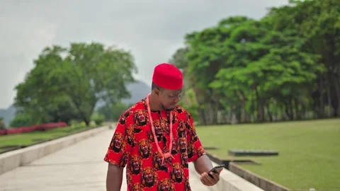 Crying face of African Igbo man over sad news on the phone. Stock-Footage 283984970