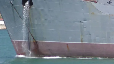 Crying Sheep 動画素材 78372466