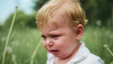 Crying toddler in grass Vídeos de archivo 340886769