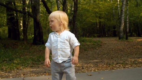 Crying toddler on the road Video stock 120597400