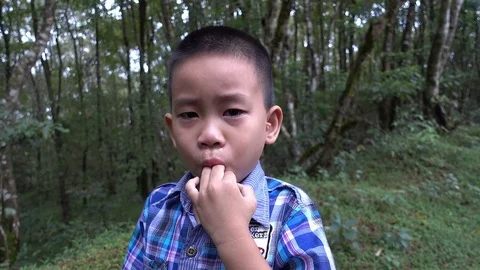 Crying,boy,Cry Stock Footage 82610597
