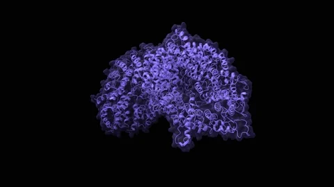 Cryo-EM structure of the full-length disease type human huntingtin Stock Footage 158156497