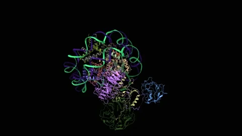 Cryo-EM structure of human MLL1-NCP complex, binding modes 1-2 Stock Footage 147079744