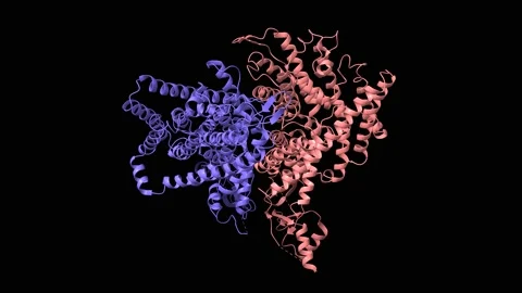 CryoEM structure of the human ClC-1 chloride channel homodimer Stock Footage 147079787