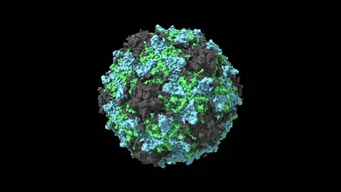 CryoEM structure of poliovirus receptor bound to poliovirus type 3 Stock Footage 146578546