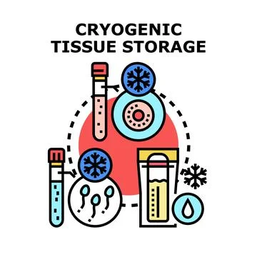 Cryogenic storage of human biological tissues and cells Stock Illustration