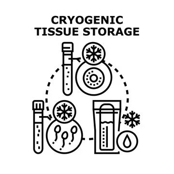 Cryogenic storage of human biological tissues and cells Stock Illustration