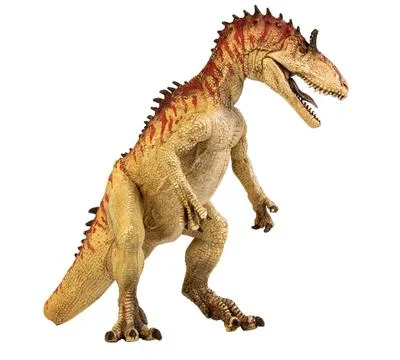 Cryolophosaurus , Dinosaur on isolate background Stock Photos