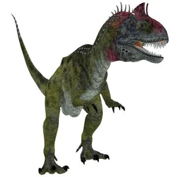Cryolophosaurus on White Stock Illustration