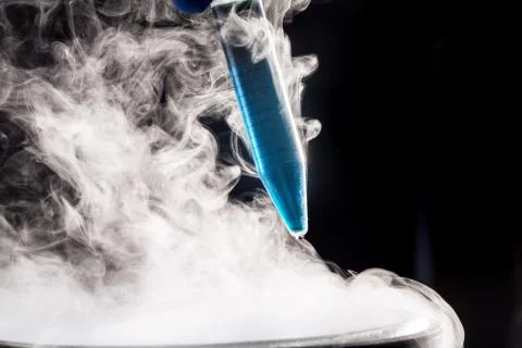 Cryopreservation of biological sample 스톡 사진