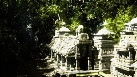 Cryptic sacred architectures masked by dense leaves and shadowy pathways Video stock 339795285