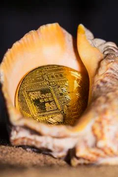 Crypto currency bitcoin in the sand in the shell. Stock Photos