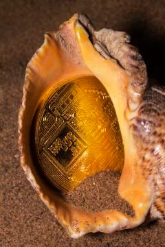 Crypto currency bitcoin in the sand in the shell. Stock Photos