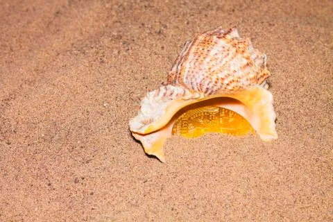 Crypto currency bitcoin in the sand in the shell. Stock Photos