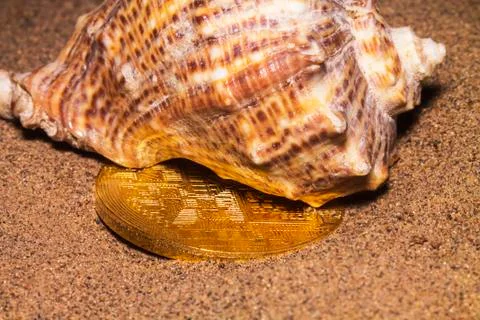 Crypto currency bitcoin in the sand in the shell. Stock Photos