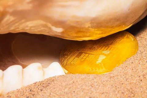 Crypto currency bitcoin in the sand in the shell. Stock Photos