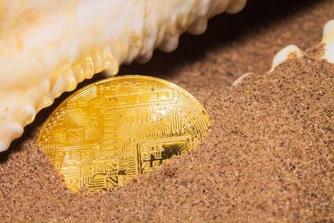 Crypto currency bitcoin in the sand in the shell. Stock Photos