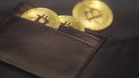 Crypto currency gold Bitcoin and Wallet Stock-Footage 155078501