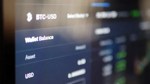 Crypto currency trading platform interface showing bitcoin wallet balance o.. Stock Footage 337404009