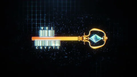 Crypto Key of Crypto Art Non Non-fungible token Video stock 149622806