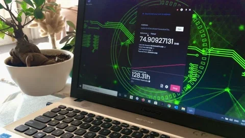 Crypto Mining on a Laptop Computer Stock Footage 162759557
