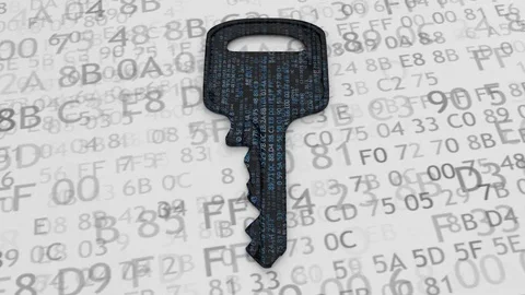 Crypto-protection. The key to the data. Protection of personal information Stock Footage 113667010