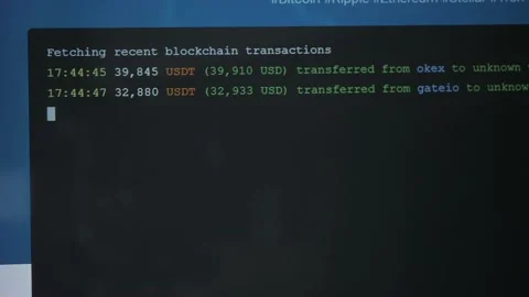 Crypto Transactions On Whale Watch 库存影片 220384324