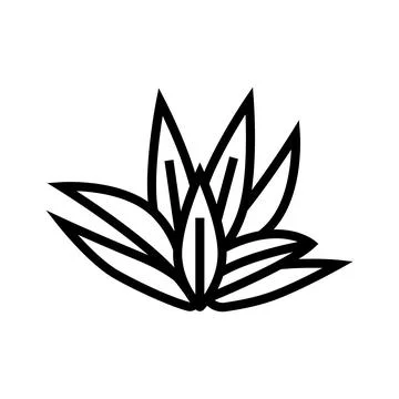 Cryptocoryne wendttii line icon vector illustration Stock-Illustration