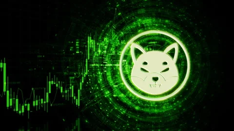 Cryptocurrency and Encryption Technology Background Stock Footage 308065463