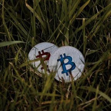 Cryptocurrency bitcoin coin Foto stock