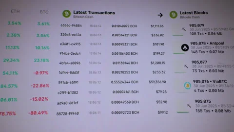 Cryptocurrency blockchain transactions dashboard on computer screen Stock Footage 334847272