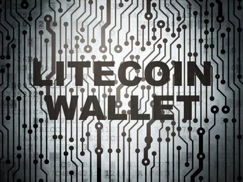 Cryptocurrency concept: circuit board with Litecoin Wallet 스톡 일러스트