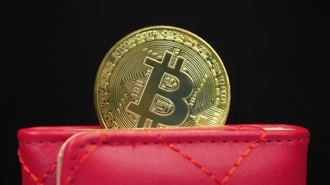 Cryptocurrency, gold bitcoin in crypto wallet. Bitcoin in wallet. Blockchain Stock Footage 331102158