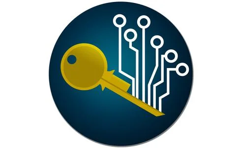 Cryptocurrency key icon isolated Stockillustratie