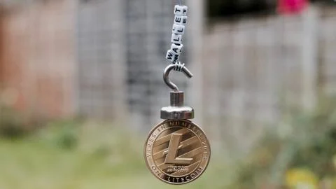 Cryptocurrency Litecoin Wallet Stock Photos