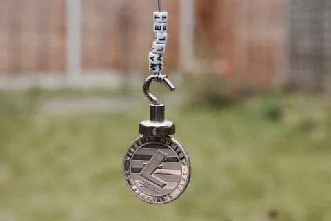 Cryptocurrency Litecoin Wallet Stock Photos