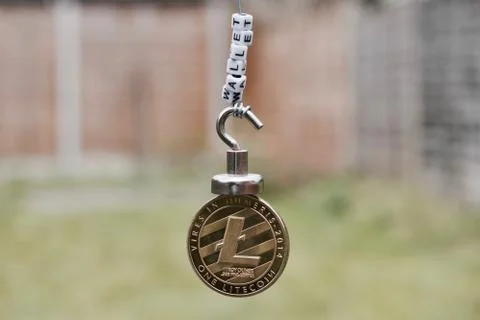 Cryptocurrency Litecoin Wallet Stock Photos