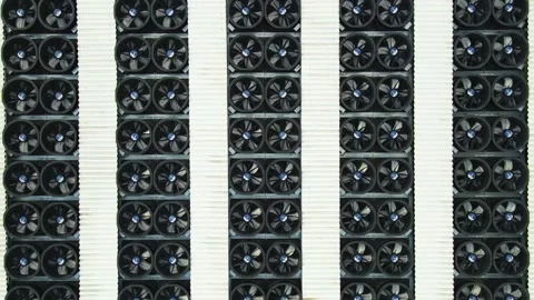 Cryptocurrency Mining Farm With Spinning GPU Video Card Fans or Ai Data Center Stockbeeldmateriaal 334351395