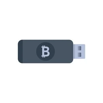 Cryptocurrency usb icon flat vector. Bitcoin money Illustrazione stock