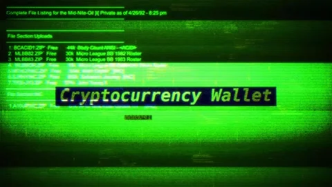 Cryptocurrency Wallet on digital screen message on computer screens Stock Footage 317054869