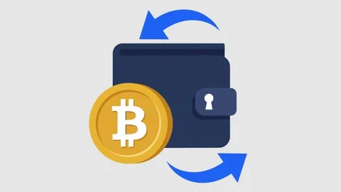 Cryptocurrency wallet icon for secure blockchain fintech presentation Stock Footage 339599744