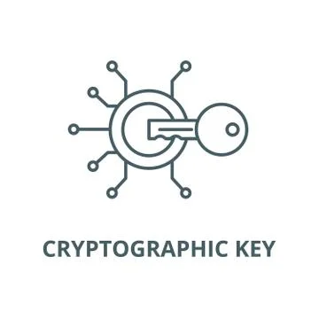 Cryptographic key vector line icon, linear concept, outline sign, symbol Stock Illustration