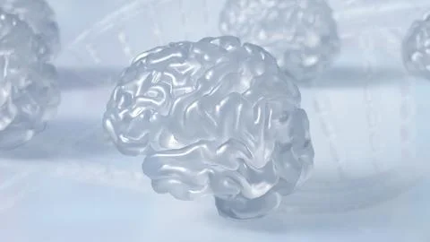 The crystail Brain on white Background  3d rendering. Stock Illustration