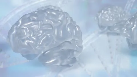 The crystail Brain on white Background  3d rendering. Illustrazione stock