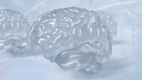 The crystail Brain on white Background  3d rendering. Stock Illustration