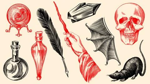 Crystal ball feather potion bottles rat and bat Wizardry and witchcraft イラスト素材