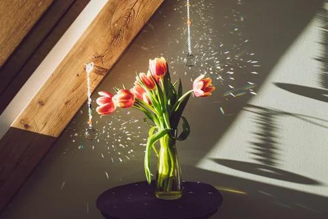 Crystal ball shape rainbow makers suncatchers hanging in home living room. Stock Photos