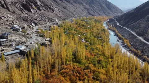 A crystal-blue river cutting through the heart of golden autumn. Stock Footage 310782756
