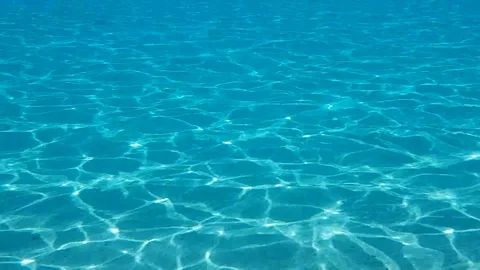 Crystal blue underwater Stock Footage 91669041